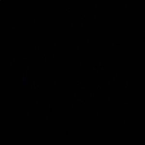 Meet your Posher, Ella